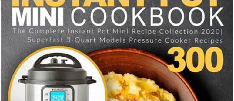 Mini instant pot recipes